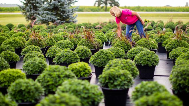 lady and green plants 