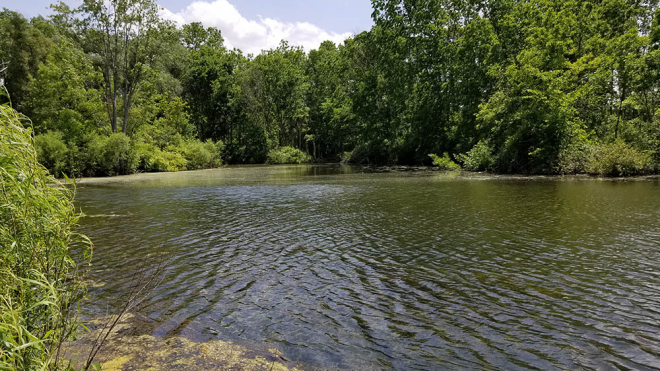 Body of water of Big Bend Conservation Area