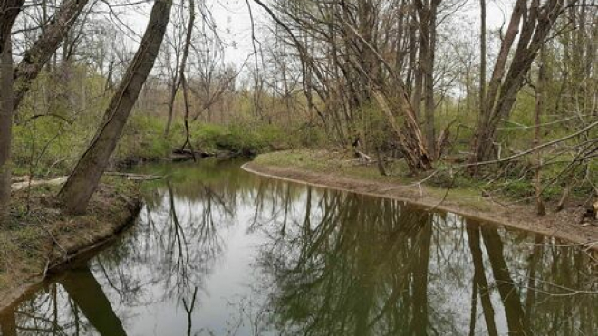 water within trees at strathroy water trail 