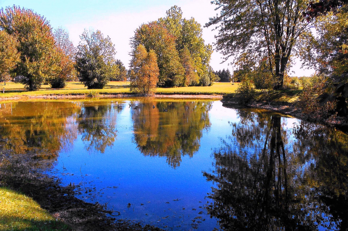 Body of water with trees in the background