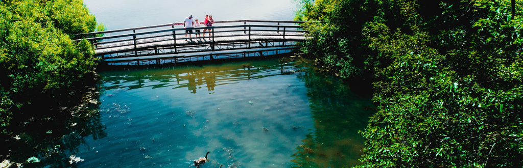 water trail