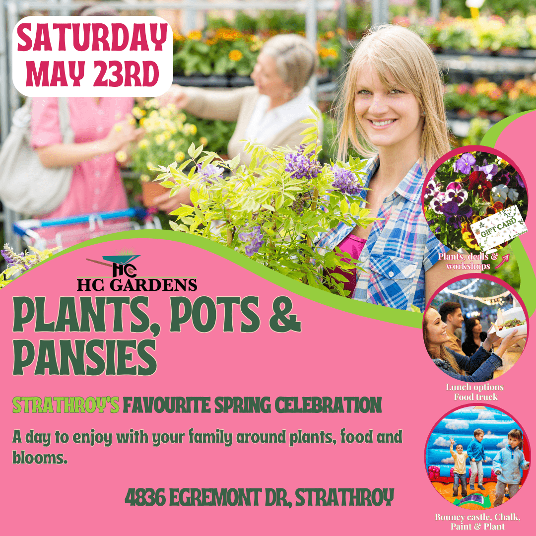 Poster for HC Gardens’ Plants, Pots & Pansies event on Saturday, May 23rd in Strathroy, featuring plants, food, workshops and family activities.