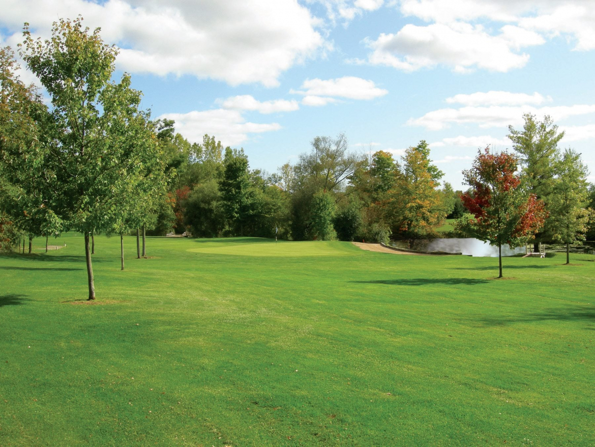 golf course field 