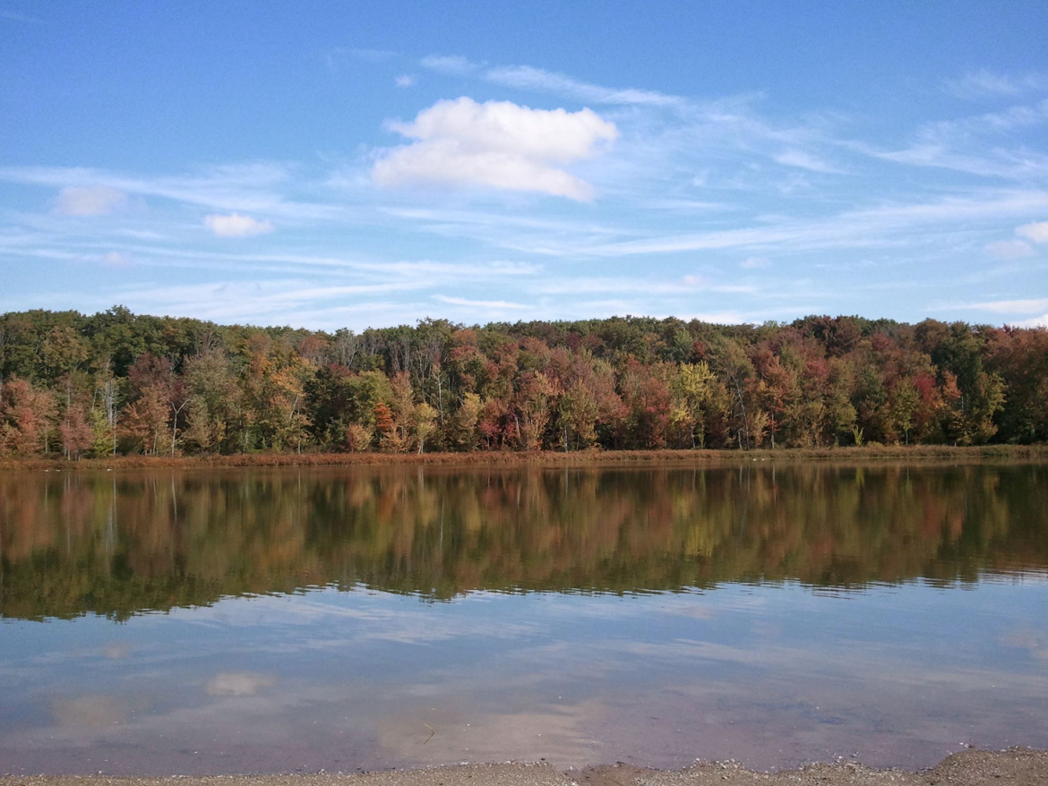 Lake Whittaker with fall trees on the horion