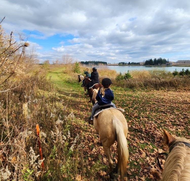 A group of people on horses traversing through a wooded landscape next to open water