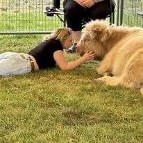 JRR Mini Moos Fall Fest 