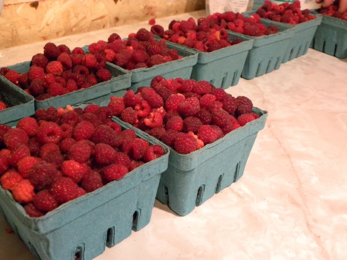 raspberries