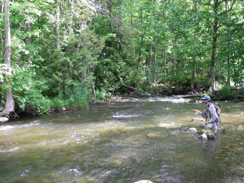 A man fishing while standing knee-deep in the clear Sydenham River