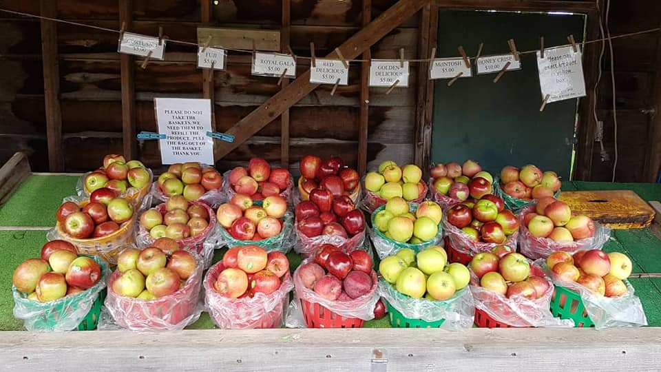 Baskets filled with a variety of apples 