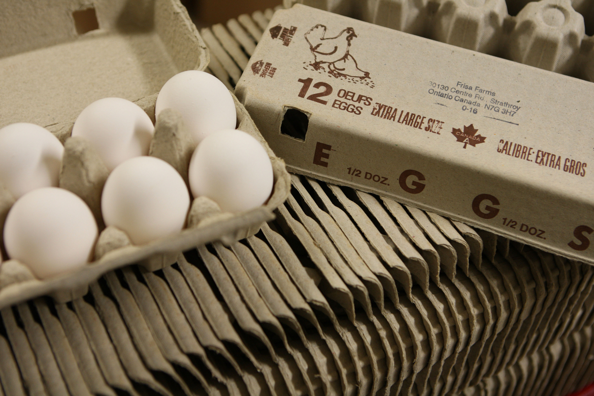 A dozen eggs
