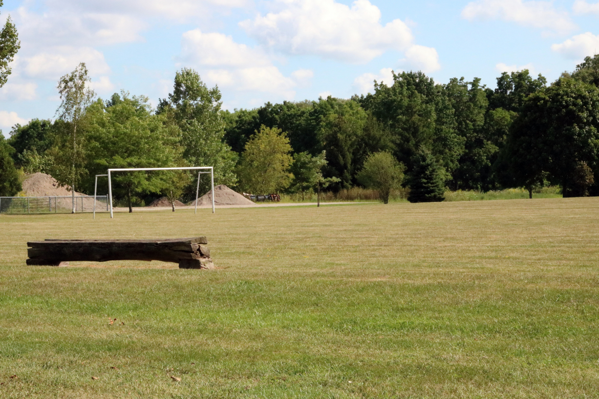 lions park soccer field 