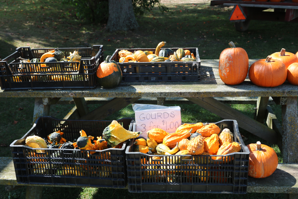 Basket of produce 