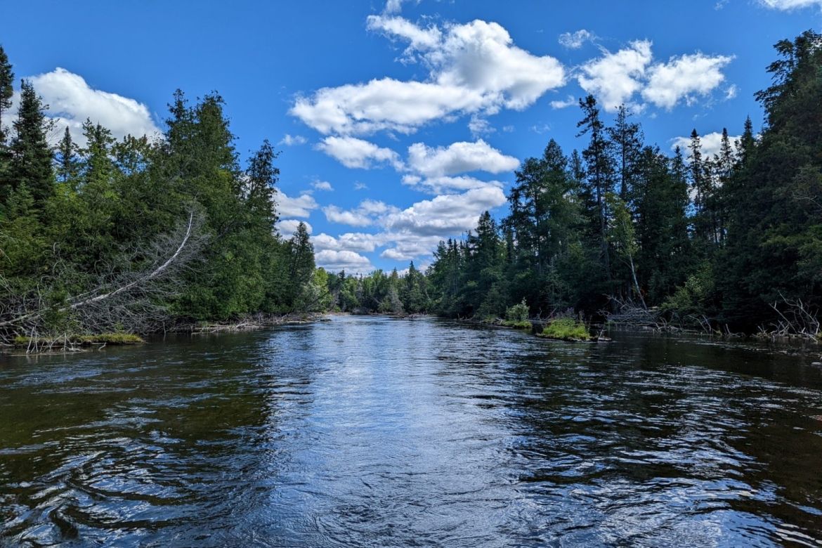 Ausable River View from a boat in the Ausable River from ontarioflyfisher.com