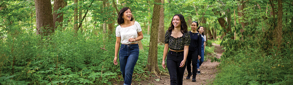 Group of people hiking through the trails 