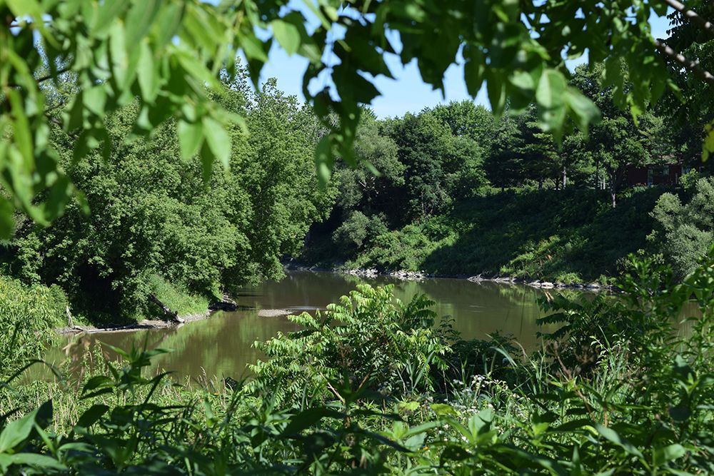 Delaware Conservation Area 