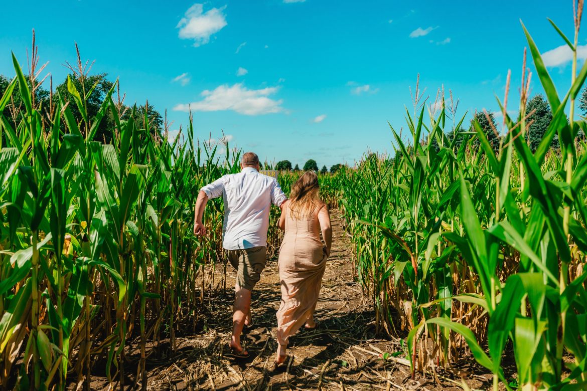 kids running through a corn maze 