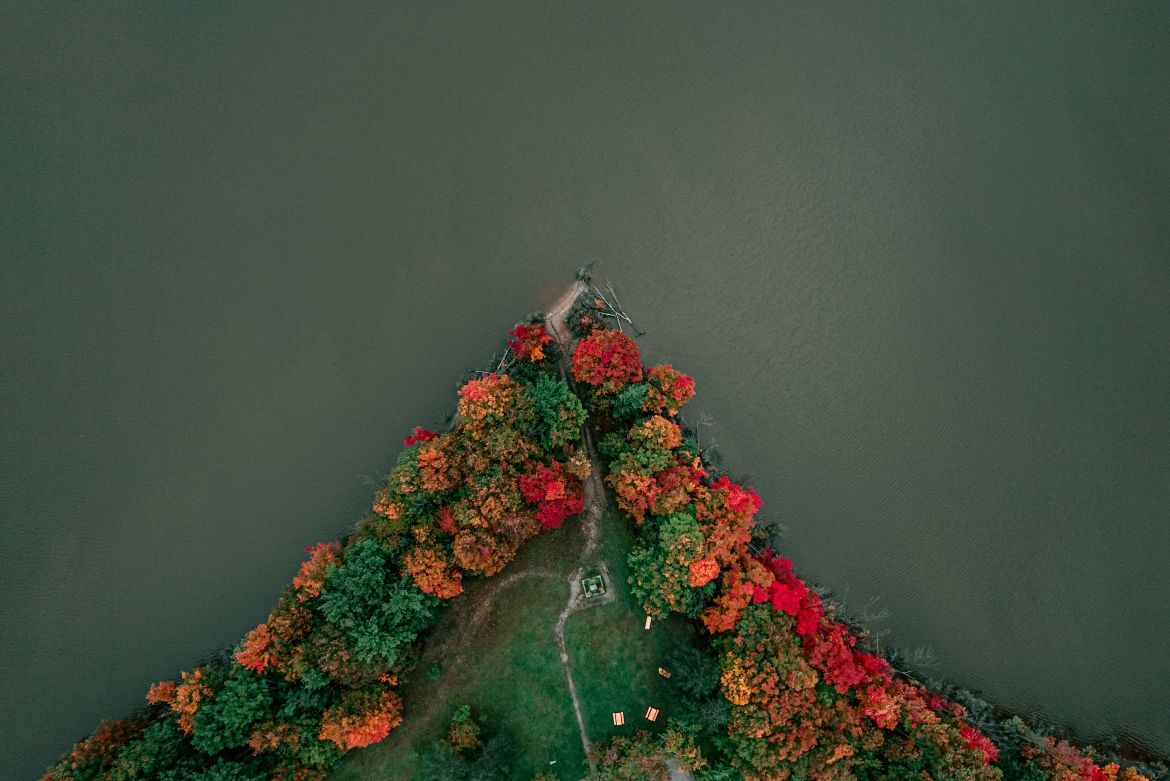 overview of fall foliage 