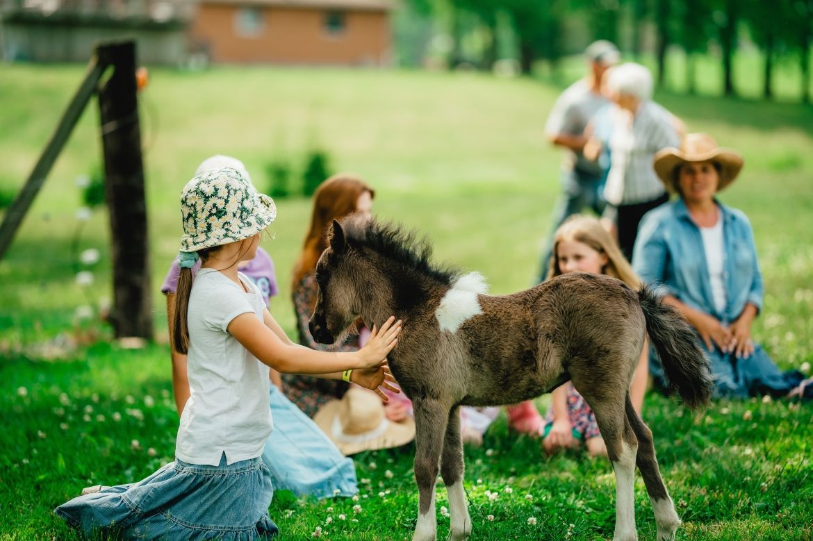 children playing with farm animals