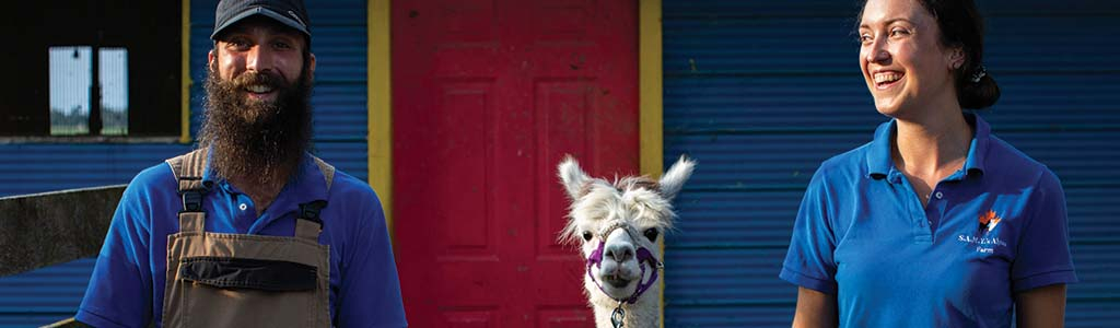 Man and woman with an alpaca