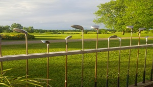 Fox golf club
