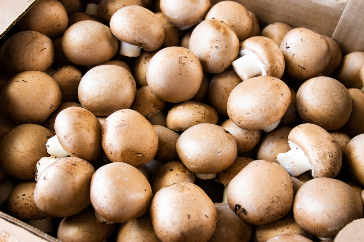 Box of mushrooms