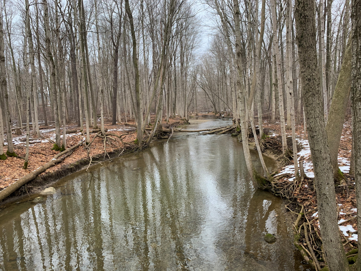 coldstream conservation area body of water