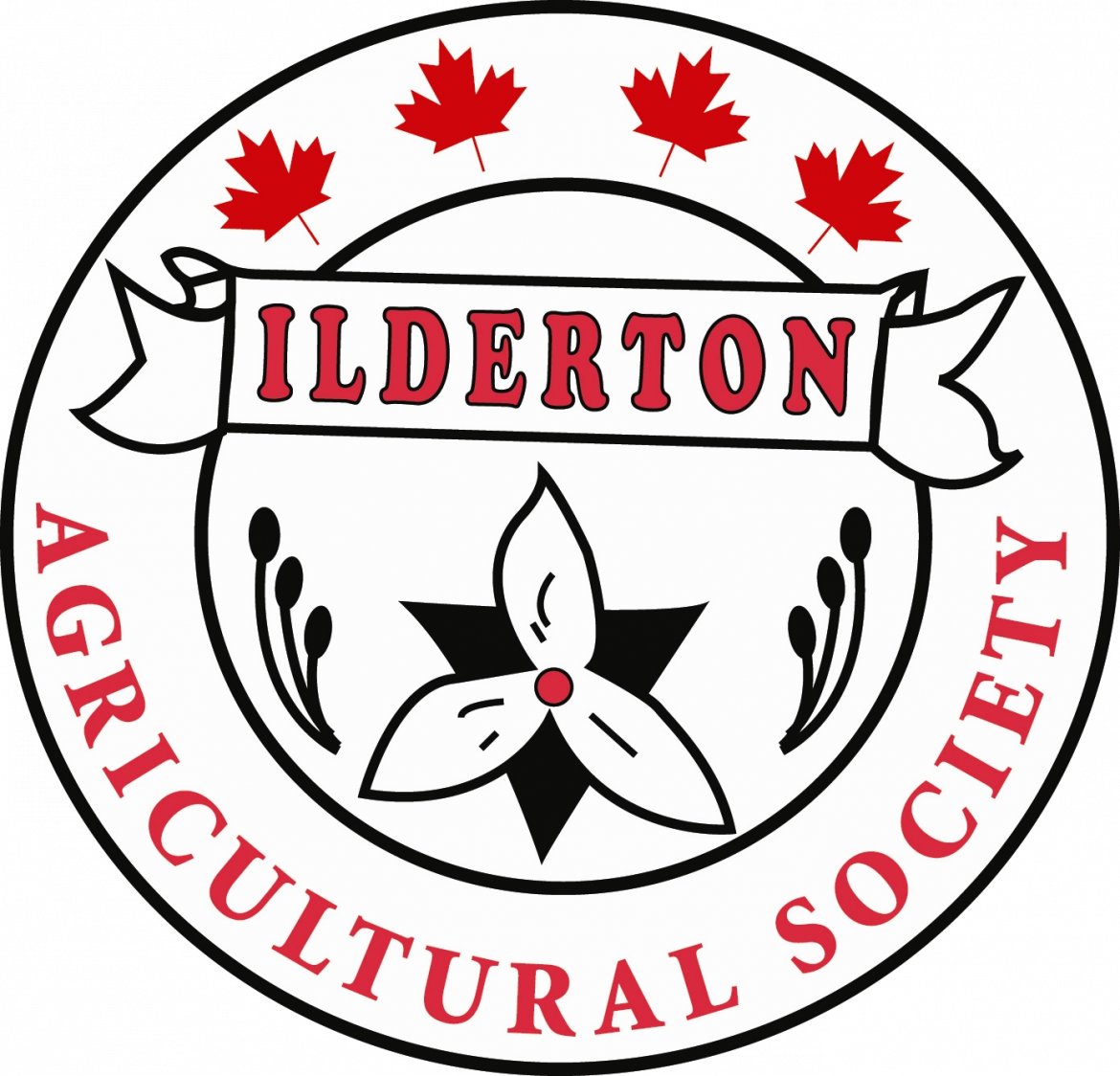 Ilderton Fair Visit Middlesex