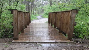 wooden bridge at skunks misery 