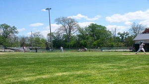 alexandra park ball diamond
