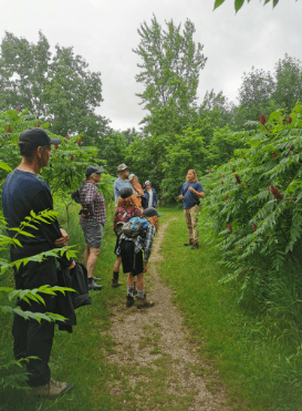 Guided Trail Walk at Sharon Creek Conservation Area