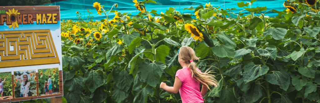 girl running through corn maze