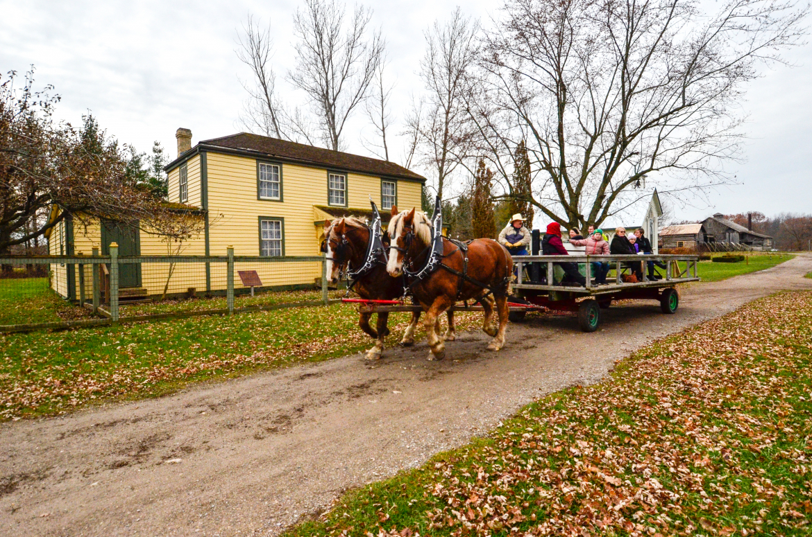 Horse and wagon ride outside the pioneer village