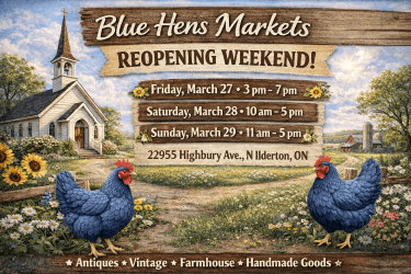 Promotional banner for Blue Hens Markets Reopening Weekend featuring a rustic countryside illustration with a small white church, farm landscape, and two blue hens in the foreground, along with event dates, times, and location details in North Ilderton, Ontario.