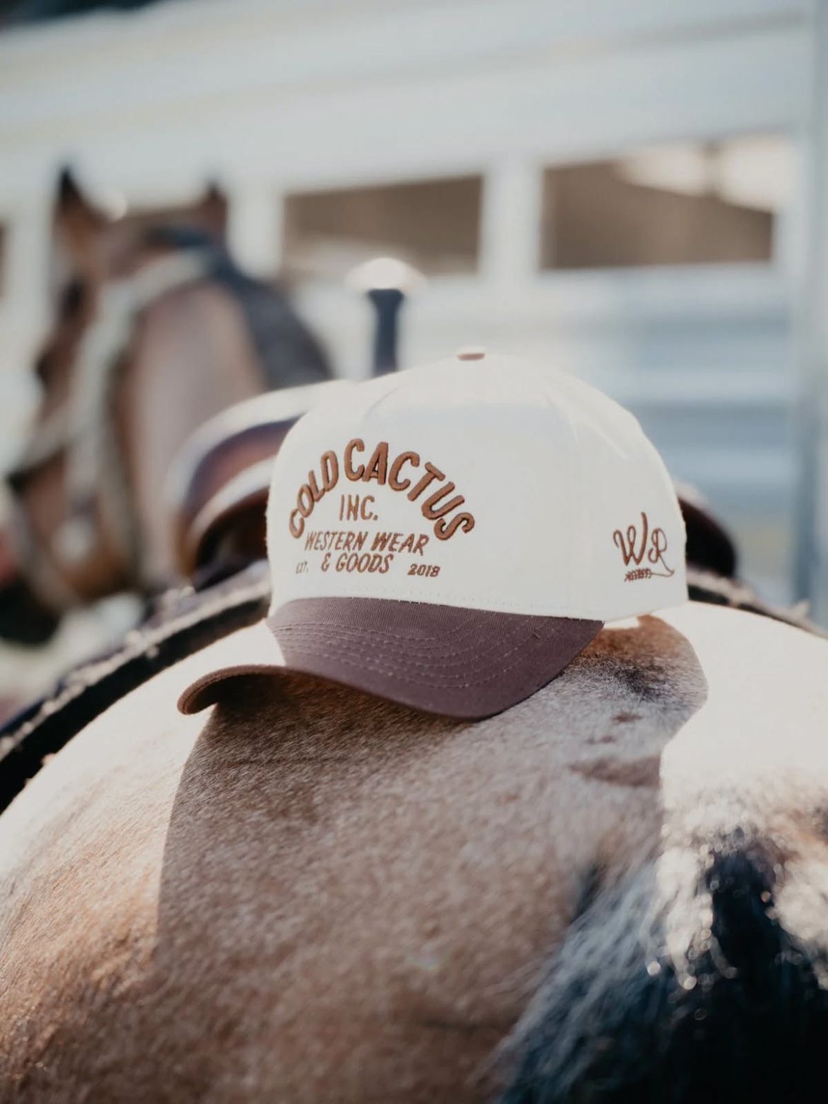 Hat 