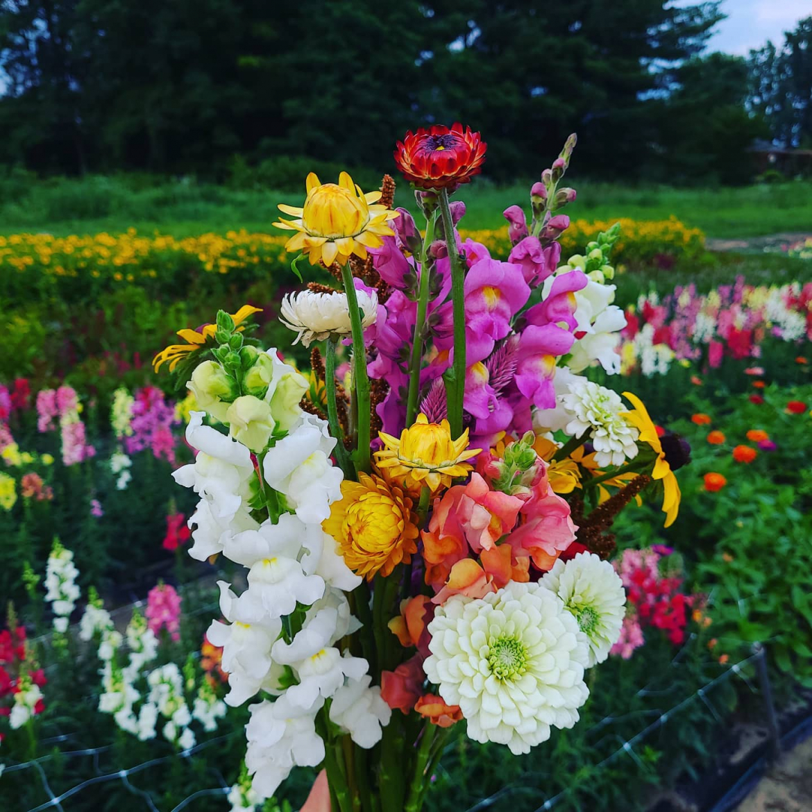 bouquet of flowers from creeks edge