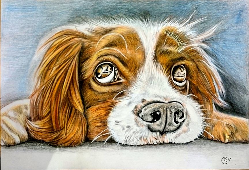 painting of dog