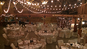 Purple Hill interior
