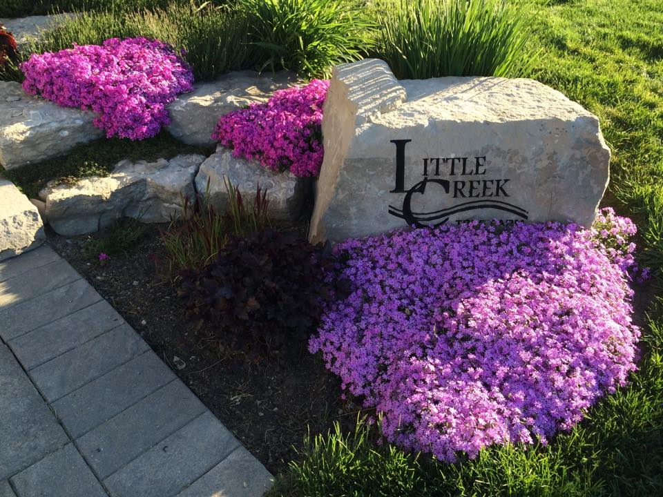 little creek sign on a rock surrounded by purply-pink flowers 