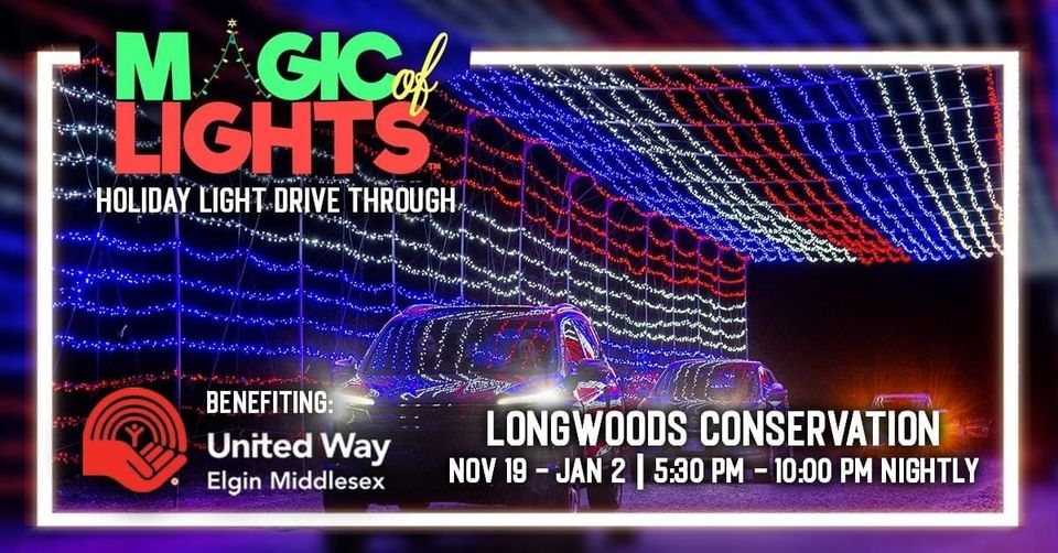 magic of lights information poster