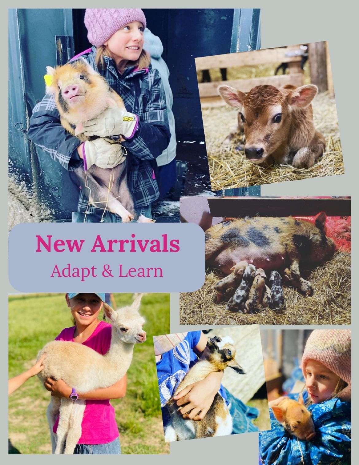 Newcomers