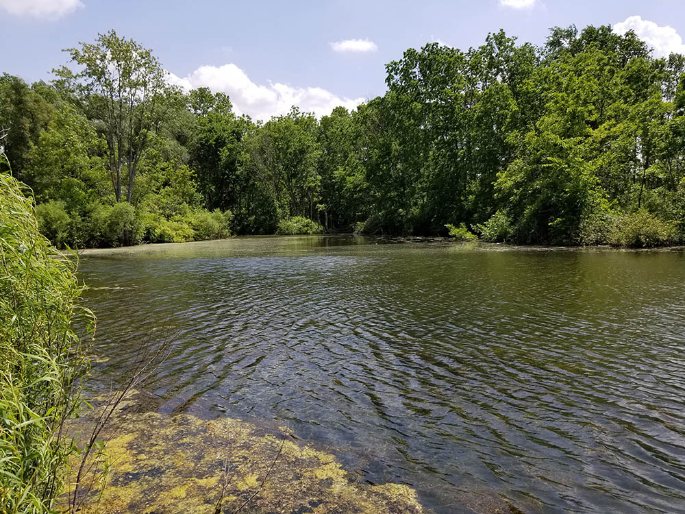 Body of water of Big Bend Conservation Area