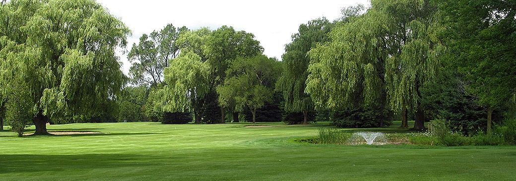 The green at willows golf course on a sunny day