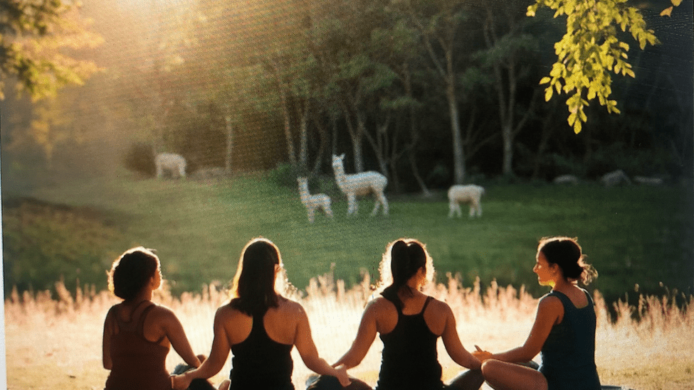 Women meditating in a field 