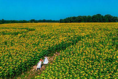 two women in a sunflower field
