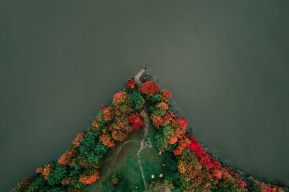 overview of fall foliage 