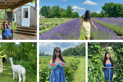Woman doing agritourism activities