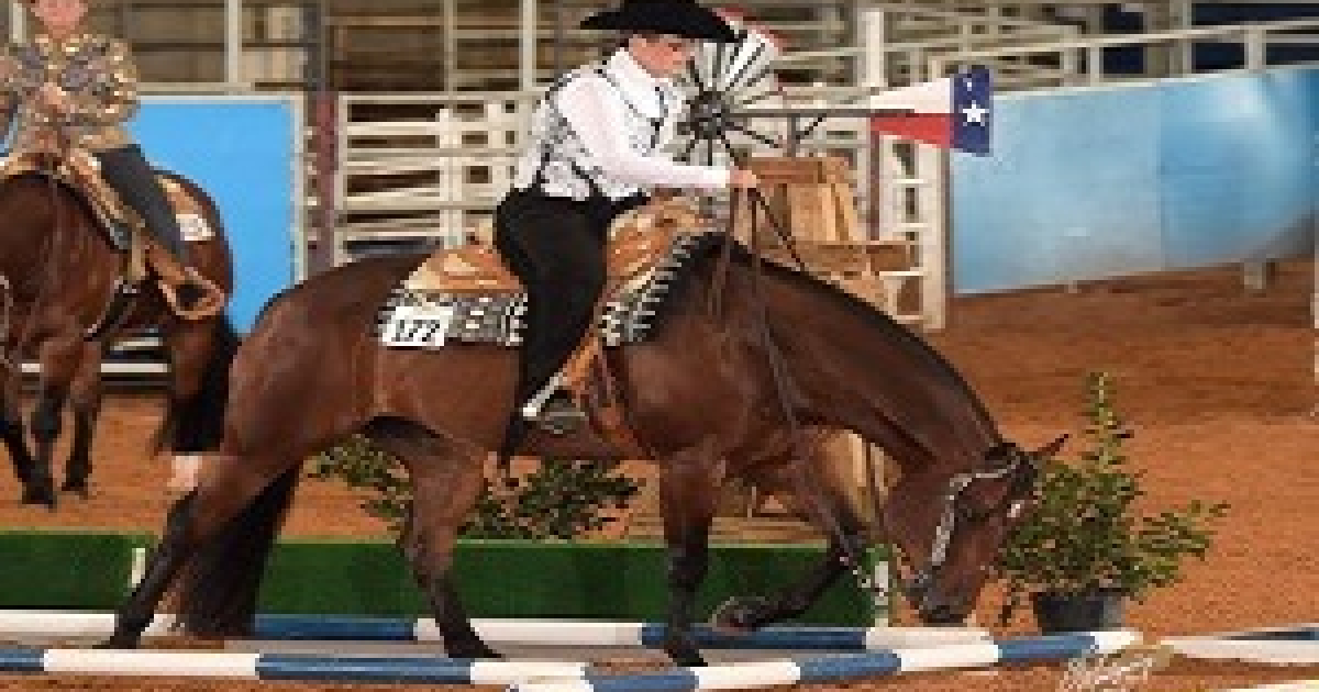 Twin Streams Equestrian Visit Middlesex